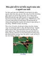 Hóa giải nỗi lo tai biến mạch máu não ở người cao tuổi doc