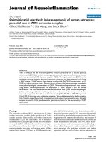 báo cáo hóa học: 