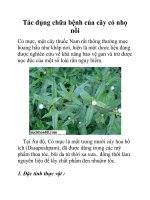 Tác dụng chữa bệnh của cây cỏ nhọ nồi docx