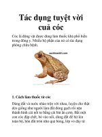Tác dụng tuyệt vời cuả cóc docx
