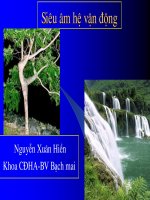 Siêu âm hệ vận động