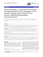 báo cáo hóa học: 