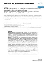 báo cáo hóa học: 