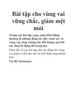 Bài tập cho vùng vai vững chắc, giảm mệt mỏi pptx