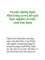 Vaccine phòng bệnh đốm trắng cá tra kết quả thực nghiệm và triển vọng ứng doc
