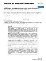 báo cáo hóa học: 