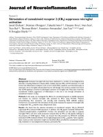 báo cáo hóa học: 