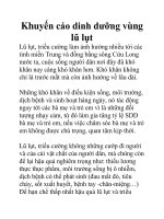 Khuyến cáo dinh dưỡng vùng lũ lụt pptx