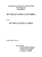 Kỹ thuật nuôi cá mú đen chấm đen pot