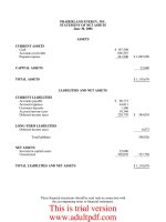 STATE OF ILLINOIS PRAIRIELAND ENERGY, INC. FINANCIAL AUDIT For the Year Ended June 30, 2006_part2 docx