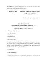 Mẫu số 4: Báo cáo thành tích đề nghị phong tặng danh hiệu Anh hùng cho tập thể có thành tích đặc biệt xuất sắc trong thời kỳ đổi mới pptx