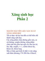 Xăng sinh học Phần 2 pdf