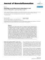 báo cáo hóa học: 