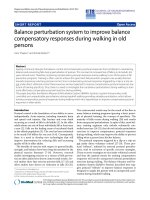 Báo cáo hóa học: 