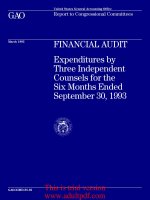 FINANCIAL AUDIT Expenditures by Three Independent Counsels for the Six Months Ended September 30, 1993_part1 ppt