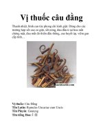 Vị thuốc câu đằng potx