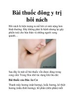 Bài thuốc đông y trị hôi nách pot