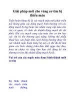 Giải pháp mới cho vùng cơ tim bị thiếu máu doc