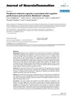 báo cáo hóa học: 