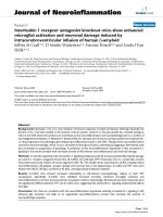 báo cáo hóa học: 