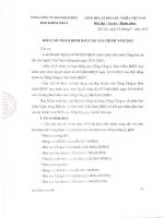 TỔNG CÔNG TY BẢO HIỂM BIDV báo cáo thẩm định báo cáo tài chính năm 2013