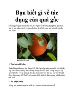 Bạn biết gì về tác dụng của quả gấc pptx