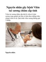 Nguyên nhân gây bệnh Viêm tai xương chũm cấp tính doc