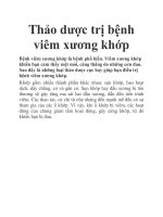 Thảo dược trị bệnh viêm xương khớp pptx