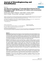 báo cáo hóa học: 