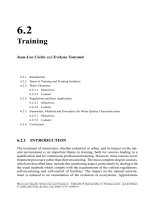 Wiley Wastewater Quality Monitoring and Treatment_21 ppt