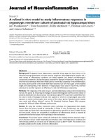 báo cáo hóa học: 