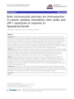 báo cáo hóa học: 