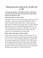 Những loại nước uống tuyệt vời nhất cho cơ thể pdf