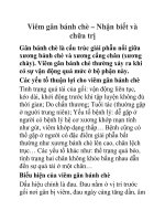 Viêm gân bánh chè – Nhận biết và chữa trị pot