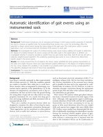 Báo cáo hóa học: 