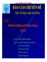 Báo cáo chuyên đề độc tố học môi trường pot