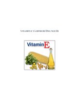 vitamin e và dinh dưỡng người