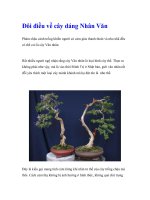 Đôi điều về cây dáng Nhân Văn potx
