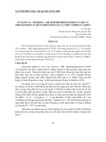 Báo cáo nghiên cứu khoa học 