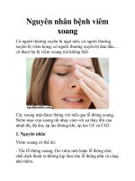 Nguyên nhân bệnh viêm xoang pot