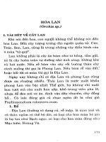 Trồng hoa, cây cảnh trong gia đình part 8 doc