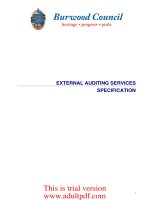 burwood council external financial auditing specification and conditions of contract_part1 pot