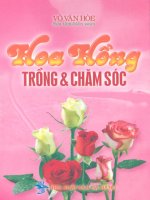 Hoa hồng – trồng và chăm sóc part 1 pptx
