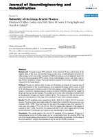 báo cáo hóa học: 