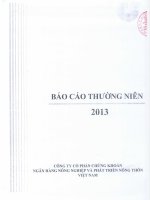 báo cáo thường niên công ty cổ phần chứng khoán ngân hàng nông nghiệp phát triển nông thôn việt nam