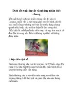 Dịch sốt xuất huyết và những nhận biết chung potx