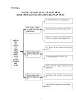 Những vấn đề chung về phân tích hoạt động kinh tế sản xuất