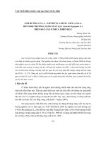 Báo cáo nghiên cứu khoa học 