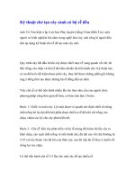 Kỹ thuật chẻ tạo cây cảnh có bộ rễ đều pptx