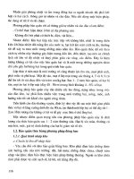 Giáo trình công nghệ bảo quản và chế biến lương thực part 6 pptx